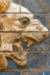Estambul, Turquía. Museo Arqueológico. León de ladrillo vidriado en relieve de la calle de la procesión, Babilonia, del período de Nabucodonosor II, circa 604-562 a.C.